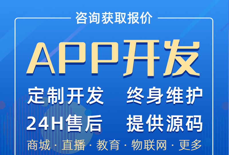 APP开发定制源码交付